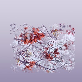 Tú Eres (feat. Joseph Glass Sepulveda) CALM TRANSMISSIONS