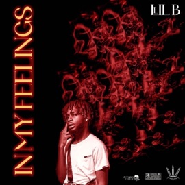 In My Feelings Llil B