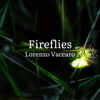 Fireflies (Piano Version) - Lorenzo Vaccaro