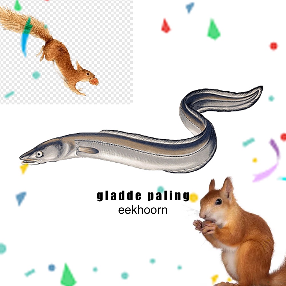 Обложка альбома «Eekhoorn - Single» — gladde paling