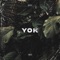 Yok - Huso 1 & Ionis lyrics