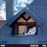 Vapor - Single - Jatabo Mzc & stega