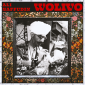 Wolivo - Ali Saffudin