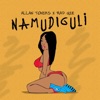 Namudiguli (feat. Allan Toniks) [Remix] - Single