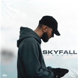 Skyfall Hauntz