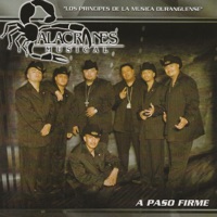 A Paso Firme - Alacranes Musical