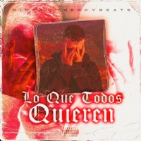 Lo Que Todos Quieren (feat. TheSkyBeats) - Single - Rid3r