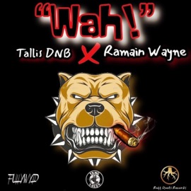 WAH (feat. RAMAIN WAYNE) Tallis DNB
