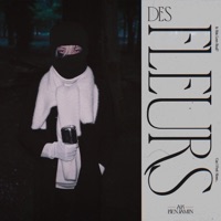 Des Fleurs - Single - Ak Benjamin