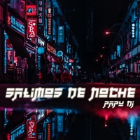 Salimos de Noche (Rkt) - Single - Papu DJ