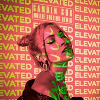 Elevated (Mollie Collins Remix) - Single - Camden Cox