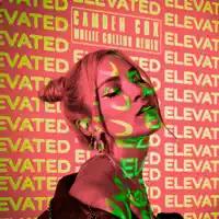 Elevated (Mollie Collins Remix) — Camden Cox