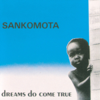 Dreams Do Come True - Sankomota