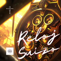 Reloj Suizo (feat. Stivo/Natusoul) - Single - Wasintonía