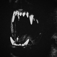 Marathon - Single - Seynam