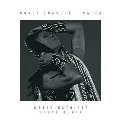 Palea (House Remix) - Single