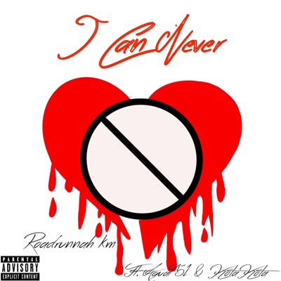 I can never (feat. Agua951 & Kota Kota) - Single