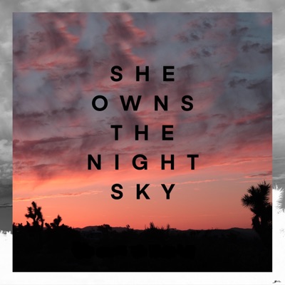 She Owns the Night Sky (feat. Avi Snow) - Single
