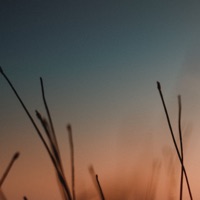 Disillusionment Mountain - Single - David Cordero