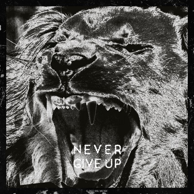 Never Give Up - Single