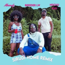 Sirudi Home (feat. Breeder LW & NDOVU KUU) [Remix] Maandy