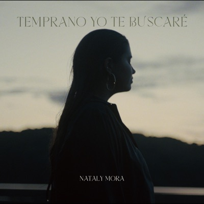 Temprano Yo Te Buscaré (Instrumental) - Single