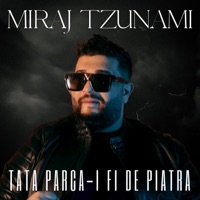 Tata parca-i fi de piatra - Single - Miraj Tzunami