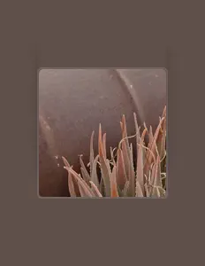 聆聽 Sarcophagus、觀看音樂影片、閱讀小傳、查看巡演日期等！