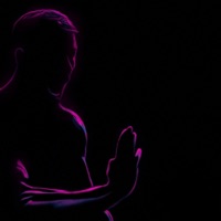 Shidoshi - Single - Shadowrunner