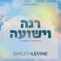 Rina (Acapella) - Single - Baruch Levine