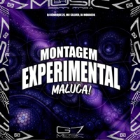 Viagem Experimental Maluca! - Single - DJ Henrique ZS, MC SILLVER & DJ MOBRECK