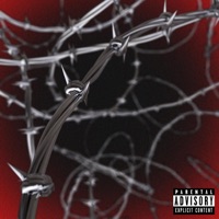 0 Mentiras y Ocultamientos (feat. Bray) - Single - Túzar
