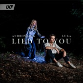 Lied to You artwork