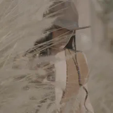Listen to Leilani Wolfgramm, watch music videos, read bio, see tour dates & more!