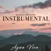 MUSICA CRISTIANA INSTRUMENTAL - Cristo Me Salvo