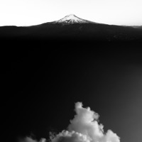 The Dead Cherry Blossom - Single - Deep Thought