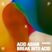 Break into Acid artwork
