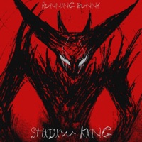 Shxdxw Kxng - Single - runn!ng bunny