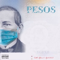 PESOS - Single - YGFXB
