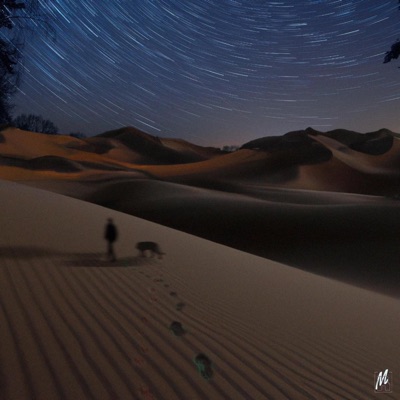 TIGRE À DENTS DE SABRE - Single