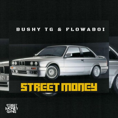 Street Money (feat. Nikka Bujwa) - Single