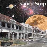 can't stop (feat. HAEBIN & Odd95) - Single - D-dolpH