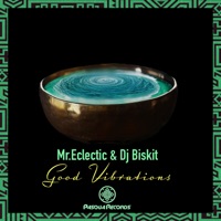 Good Vibrations - Single - Mr. Eclectic & DJ Biskit