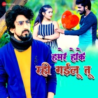 Hamare Hoke Rahi Gailu Tu - Single - Sagar Brothers & Piyush Mishra