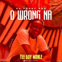 O Wrong Na - Single - Teeguy Wanle