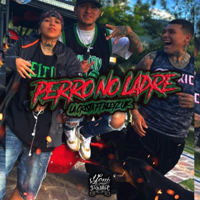 Perro no ladre (feat. La Crista & Bleyz UK) - Single