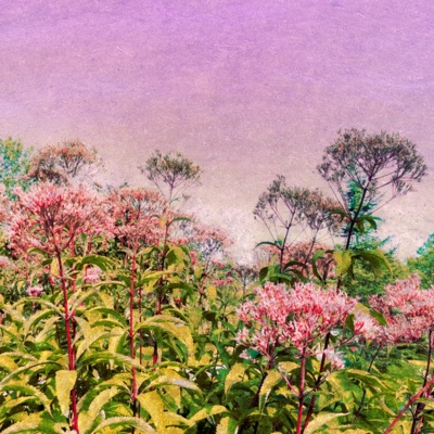 Pull Me Under - Single