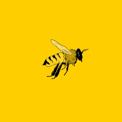 Pollen Vol. 1 - EP