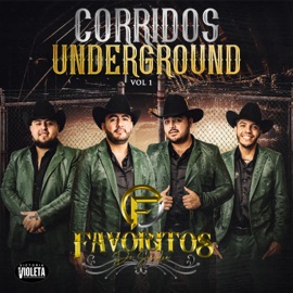 Rosa De Los Vientos Los Favoritos De Sinaloa