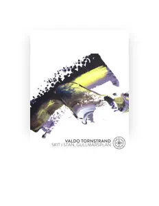 Listen to Valdo Tornstrand, watch music videos, read bio, see tour dates & more!